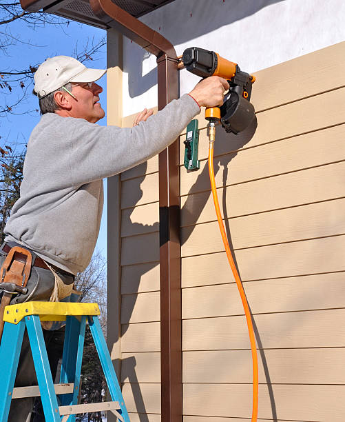 Best Custom Siding Design  in Val Verde, CA